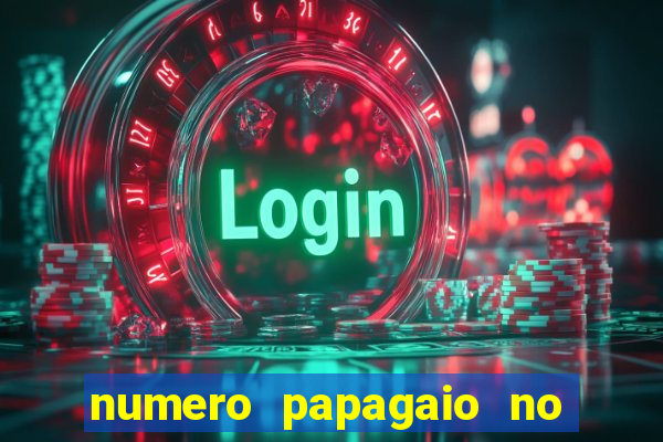 numero papagaio no jogo do bicho